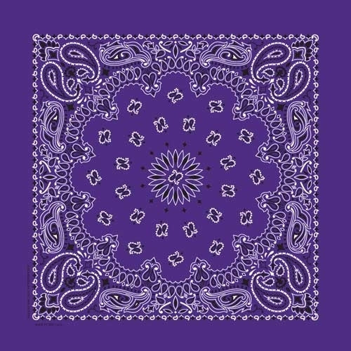 Bandana Paisley Purple