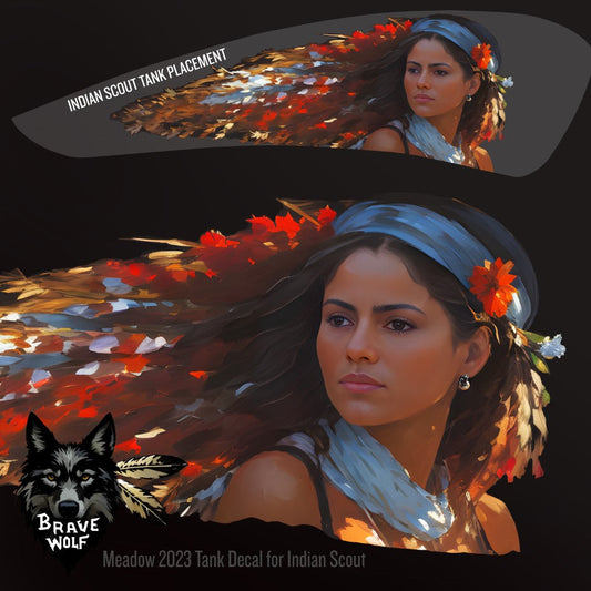 Meadow-2023 - Indian Scout Tank Decal-Color