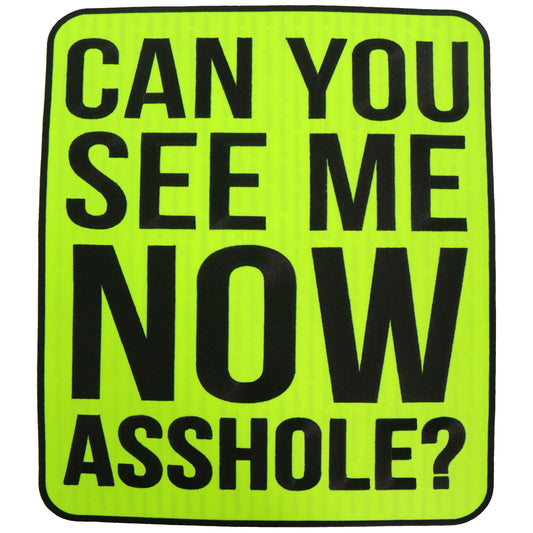 PATCH SEE ME NOW BACK 11.5"